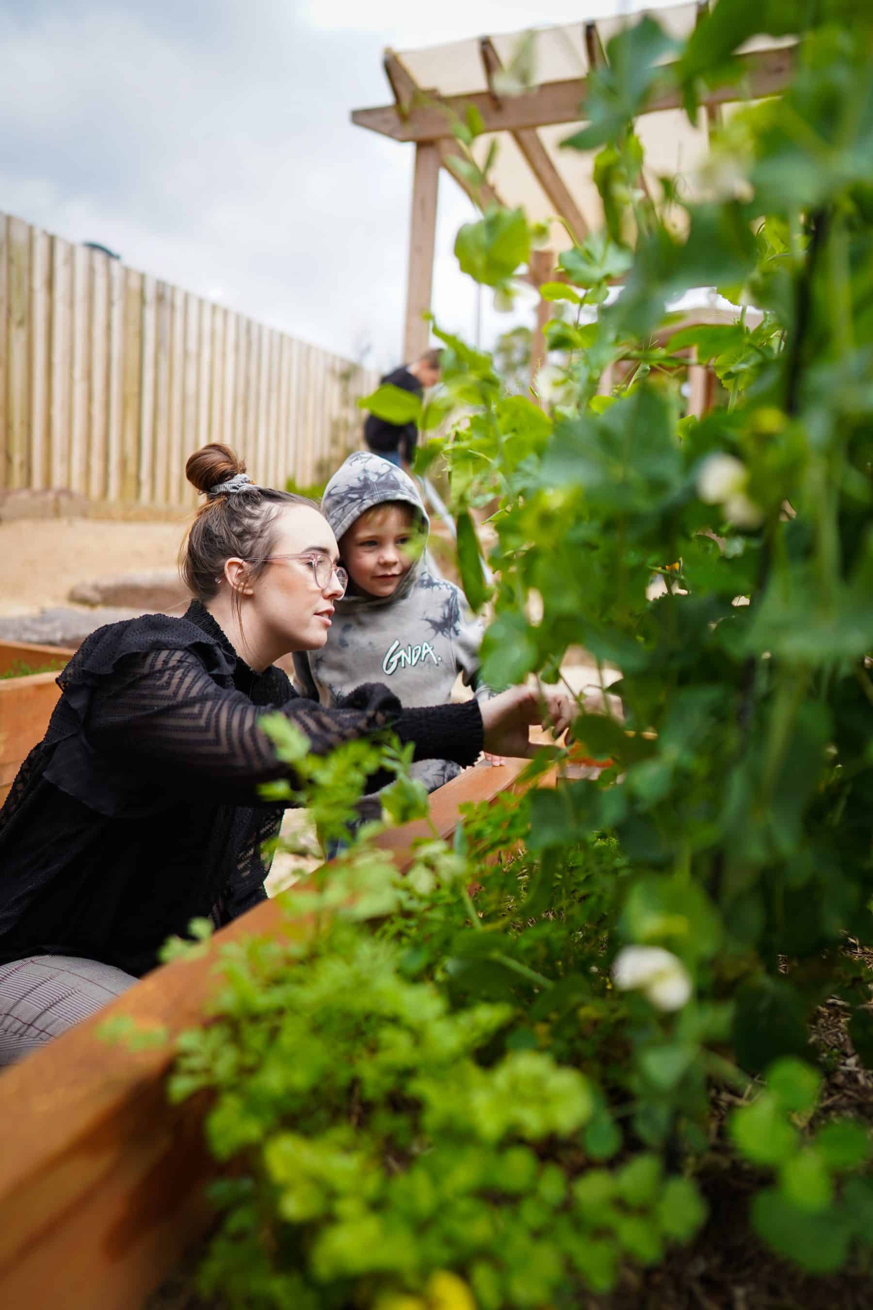 educator and child looking at plants