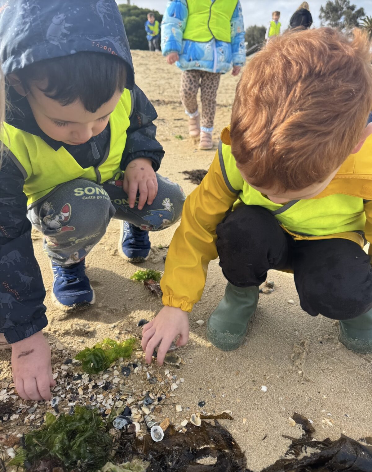 Brighton East Bush Kinder 6